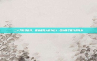 二十万投资选择，国债还是大额存款？-国债哪个银行最可靠
