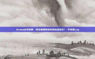 Schwab手续费，投资者如何应对高成本投资？-手续费cny