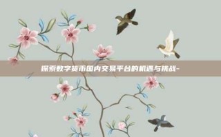 探索数字货币国内交易平台的机遇与挑战-