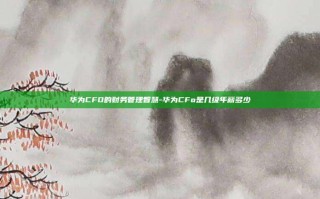 华为CFO的财务管理智慧-华为CFo是几级年薪多少