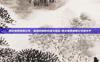 西北电网有限公司，能源转型的先锋与挑战-西北电网有限公司吴小平