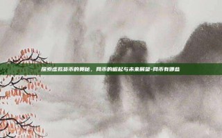 探索虚拟货币的奥秘，网币的崛起与未来展望-网币有哪些