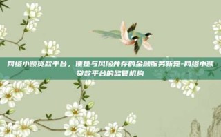 网络小额贷款平台，便捷与风险并存的金融服务新宠-网络小额贷款平台的监管机构