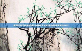 浏阳花炮节的璀璨烟花与深厚文化底蕴-浏阳花炮节2025