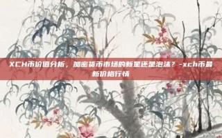 XCH币价值分析，加密货币市场的新星还是泡沫？-xch币最新价格行情