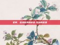 宏网，连接世界的桥梁-宏图的意思