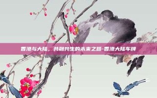 香港与大陆，共融共生的未来之路-香港大陆车牌