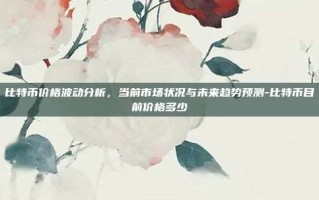 比特币价格波动分析，当前市场状况与未来趋势预测-比特币目前价格多少