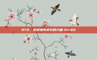 BTR，在逆境中成长的力量-btr80
