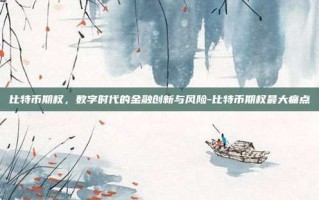 比特币期权，数字时代的金融创新与风险-比特币期权最大痛点