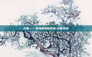 万惠——连接世界的桥梁-万惠及贷