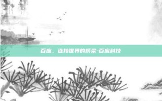 百应，连接世界的桥梁-百应科技