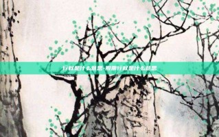 行权是什么意思-股票行权是什么意思