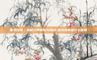 国资改革，新时代的航标与挑战-国资改革是什么意思