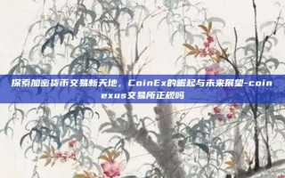探索加密货币交易新天地，CoinEx的崛起与未来展望-coinexus交易所正规吗
