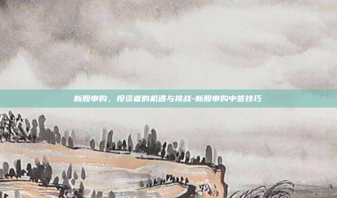新股申购，投资者的机遇与挑战-新股申购中签技巧-第1张图片-欧易官网APP下载