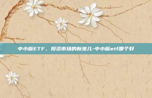 中小板ETF，投资市场的新宠儿-中小板etf哪个好-第1张图片-欧易官网APP下载