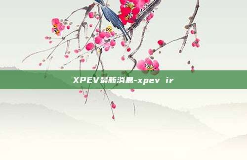 XPEV最新消息-xpev ir-第1张图片-欧易官网APP下载