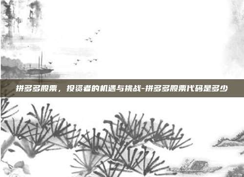 拼多多股票，投资者的机遇与挑战-拼多多股票代码是多少-第1张图片-欧易官网APP下载