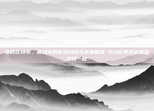 今日比特币，波动中的市场动态与未来展望-今曰比特币价格多少钱一枚-第1张图片-欧易官网APP下载
