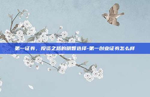 第一证券，投资之路的明智选择-第一创业证券怎么样-第1张图片-欧易官网APP下载