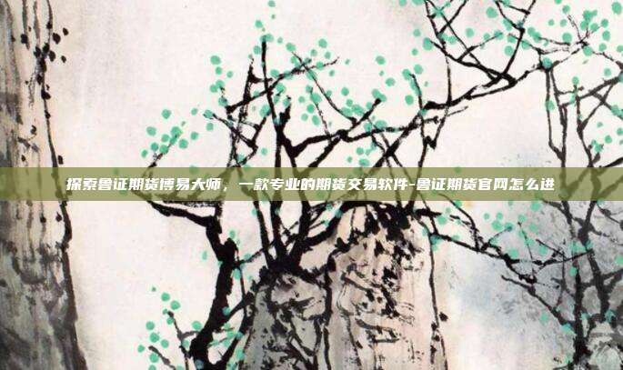 探索鲁证期货博易大师，一款专业的期货交易软件-鲁证期货官网怎么进-第1张图片-欧易官网APP下载