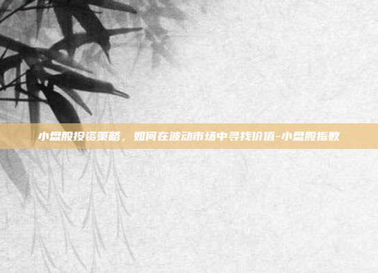 小盘股投资策略，如何在波动市场中寻找价值-小盘股指数-第1张图片-欧易官网APP下载