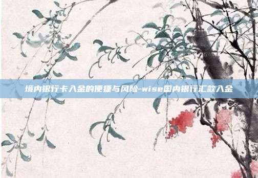 境内银行卡入金的便捷与风险-wise国内银行汇款入金-第1张图片-欧易官网APP下载