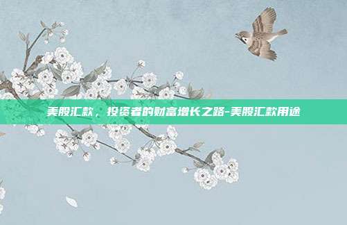 美股汇款，投资者的财富增长之路-美股汇款用途-第1张图片-欧易官网APP下载