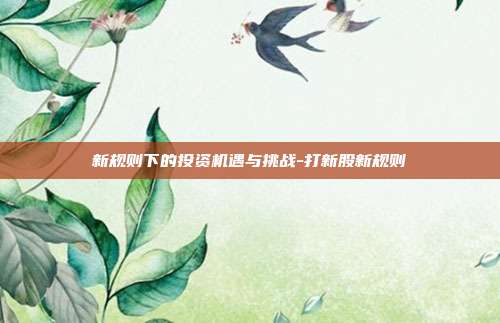 新规则下的投资机遇与挑战-打新股新规则-第1张图片-欧易官网APP下载 新规则下的投资机遇与挑战-打新股新规则-第1张图片-欧易官网APP下载