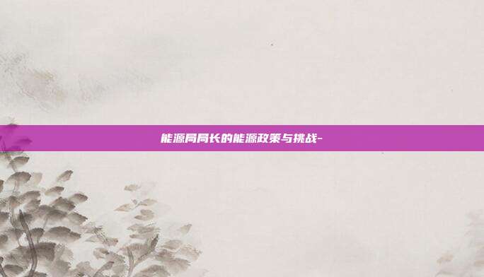 能源局局长的能源政策与挑战--第1张图片-欧易官网APP下载