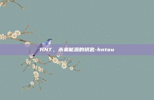 HNT，未来能源的钥匙-hntou-第1张图片-欧易官网APP下载