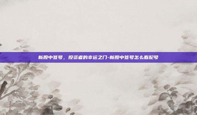 新股中签号，投资者的幸运之门-新股中签号怎么看配号-第1张图片-欧易官网APP下载