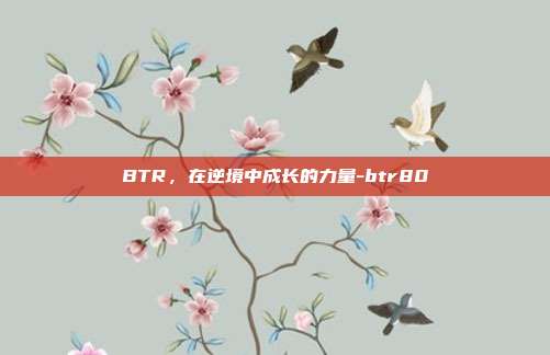 BTR,在逆境中成长的力量-btr80-第1张图片-欧易官网APP下载 BTR,在逆境中成长的力量-btr80-第1张图片-欧易官网APP下载