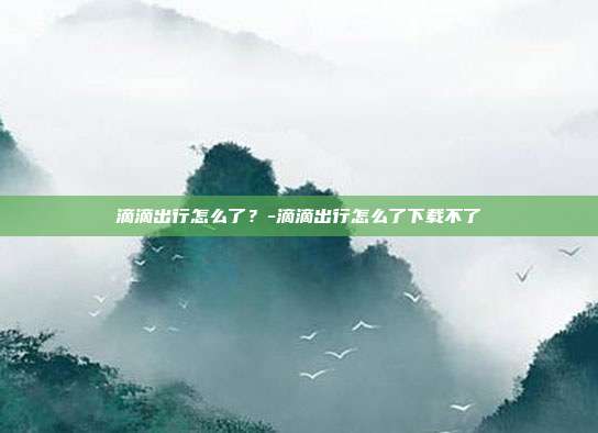 滴滴出行怎么了？-滴滴出行怎么了下载不了-第1张图片-欧易官网APP下载