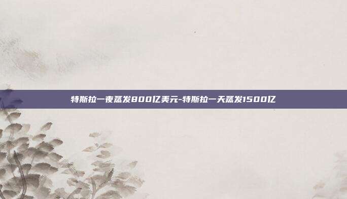 特斯拉一夜蒸发800亿美元-特斯拉一天蒸发1500亿-第1张图片-欧易官网APP下载 特斯拉一夜蒸发800亿美元-特斯拉一天蒸发1500亿-第1张图片-欧易官网APP下载