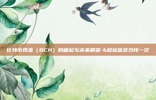 比特币现金（BCH）的崛起与未来展望-b超检查多少钱一次-第1张图片-欧易官网APP下载