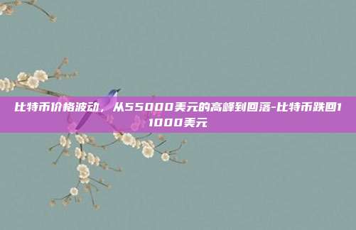 比特币价格波动，从55000美元的高峰到回落-比特币跌回11000美元-第1张图片-欧易官网APP下载