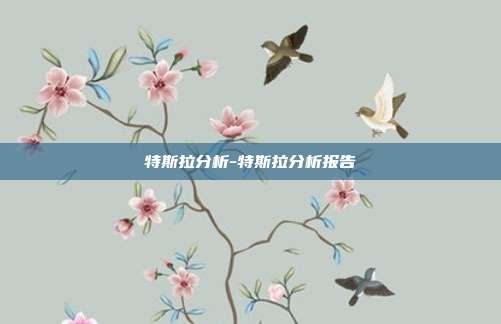 特斯拉分析-特斯拉分析报告-第1张图片-欧易官网APP下载 特斯拉分析-特斯拉分析报告-第1张图片-欧易官网APP下载