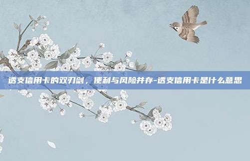 透支信用卡的双刃剑，便利与风险并存-透支信用卡是什么意思-第1张图片-欧易官网APP下载