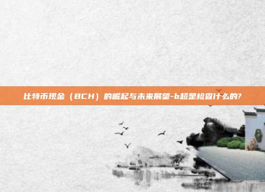 比特币现金(BCH)的崛起与未来展望-b超是检查什么的?-第1张图片-欧易官网APP下载 比特币现金(BCH)的崛起与未来展望-b超是检查什么的?-第1张图片-欧易官网APP下载