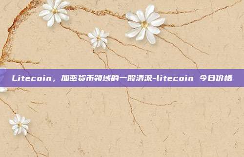 Litecoin，加密货币领域的一股清流-litecoin 今日价格-第1张图片-欧易官网APP下载