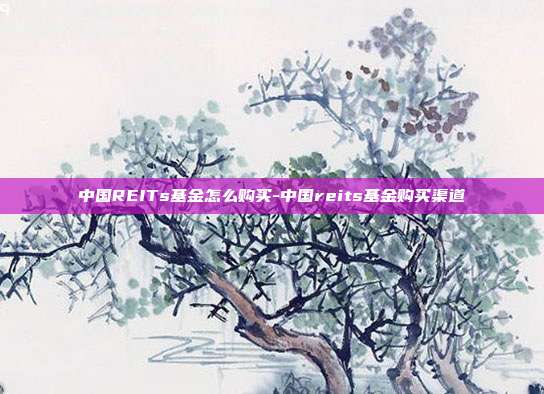 中国REITs基金怎么购买-中国reits基金购买渠道-第1张图片-欧易官网APP下载