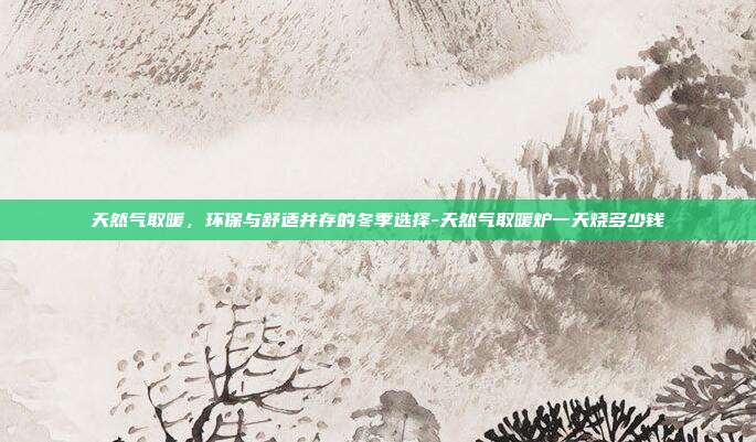 天然气取暖,环保与舒适并存的冬季选择-天然气取暖炉一天烧多少钱-第1张图片-欧易官网APP下载 天然气取暖,环保与舒适并存的冬季选择-天然气取暖炉一天烧多少钱-第1张图片-欧易官网APP下载