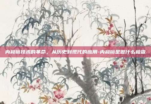 内窥镜技术的革命,从历史到现代的应用-内窥镜是做什么检查-第1张图片-欧易官网APP下载 内窥镜技术的革命,从历史到现代的应用-内窥镜是做什么检查-第1张图片-欧易官网APP下载