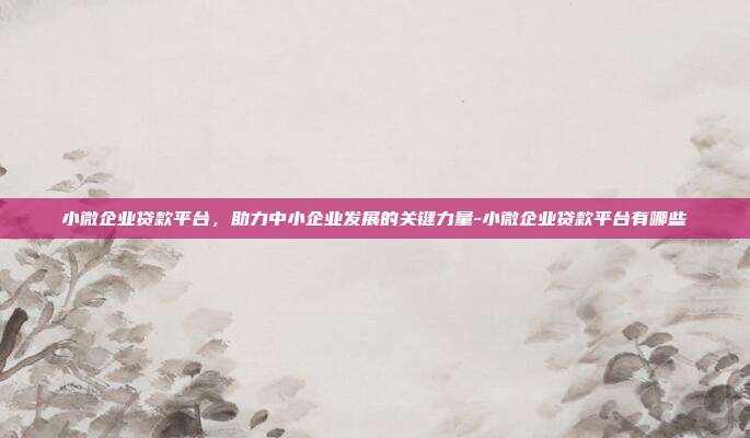 小微企业贷款平台，助力中小企业发展的关键力量-小微企业贷款平台有哪些-第1张图片-欧易官网APP下载